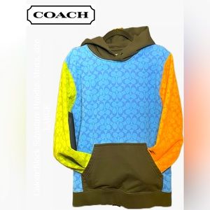 Colorblock Signature Hoodie, size Large